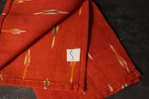 Clay Ikat Cloth Napkin- Set of 2